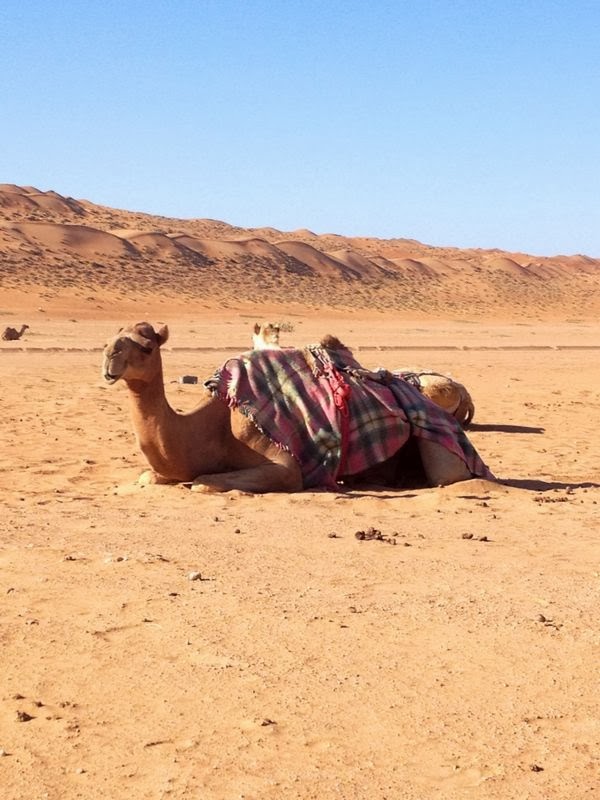 Hamdy