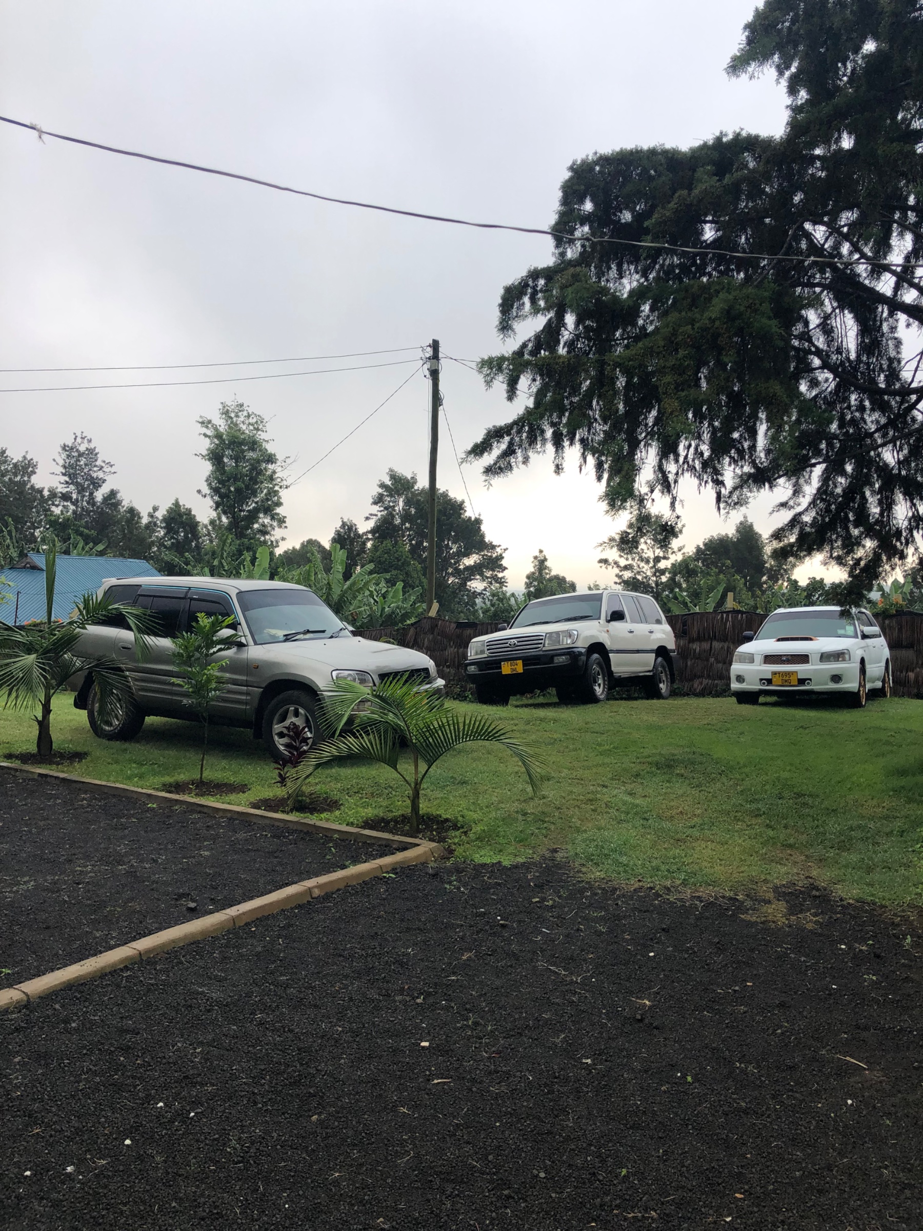 Mbalelo tours limited