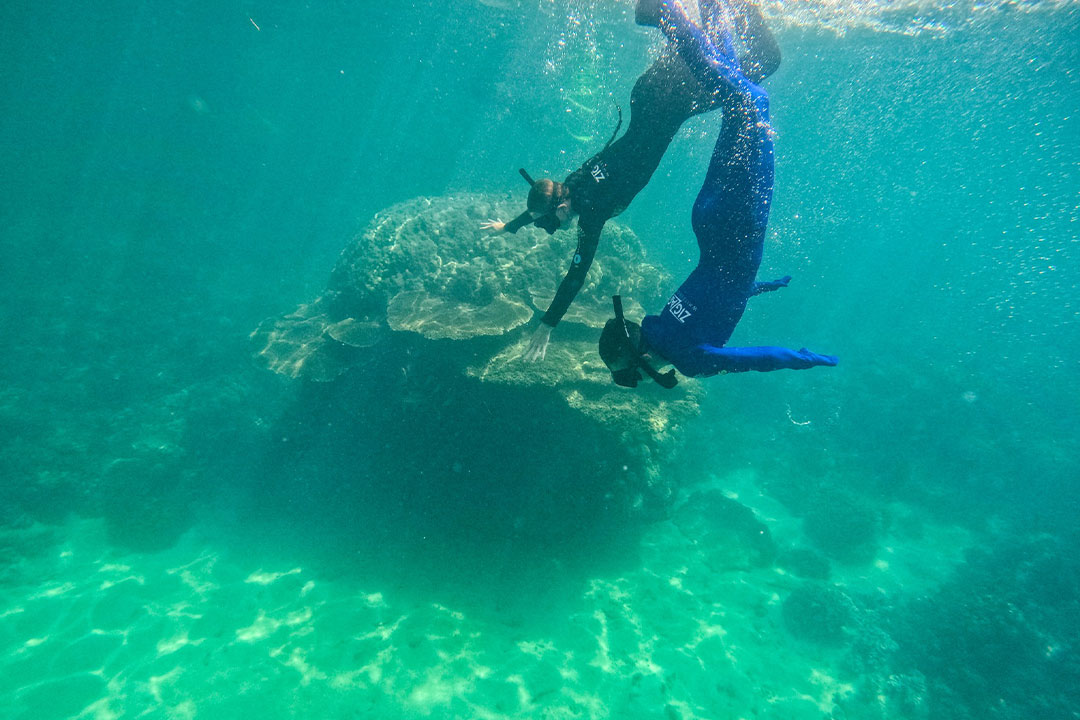 ZigZag Whitsundays Day Tour