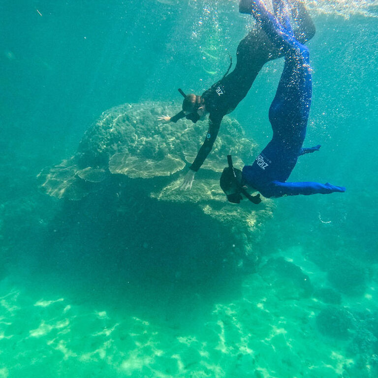 ZigZag Whitsundays Day Tour