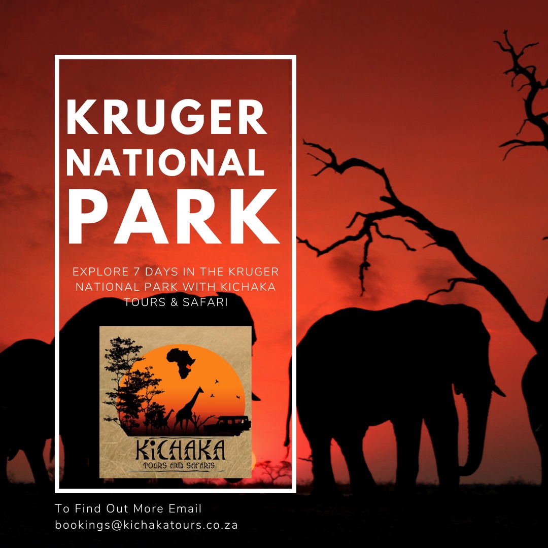 Kichaka Tours and Safaris