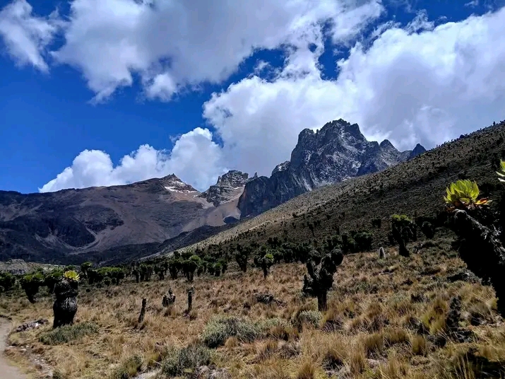 Africa Outdoors