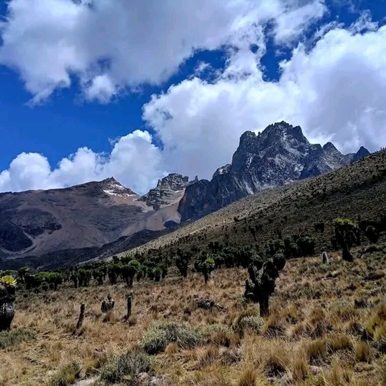 Africa Outdoors