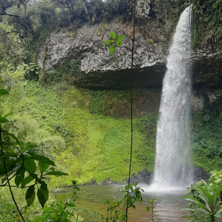 Africa Outdoors