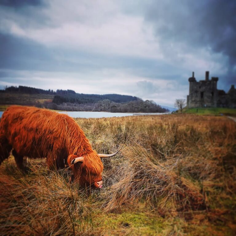 My Scottish Tour