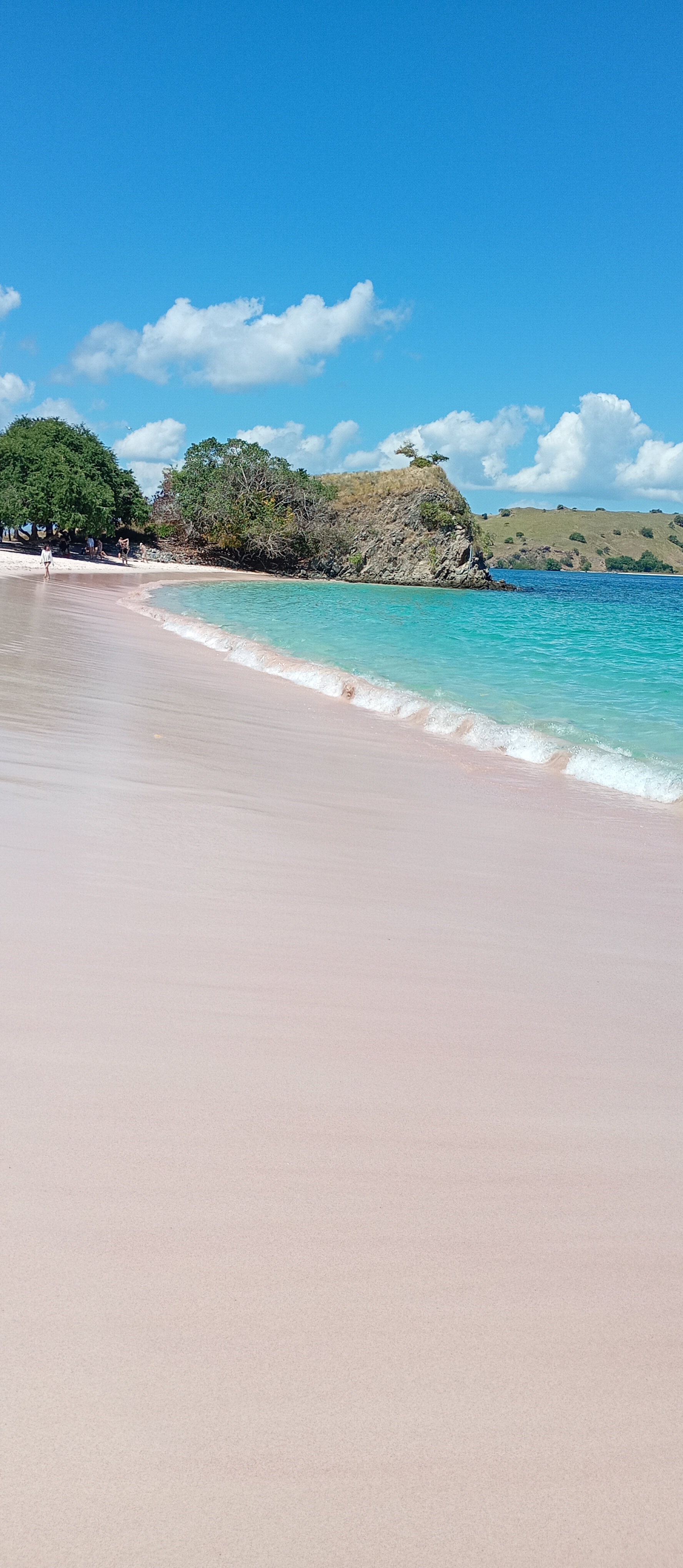 Komodo Travel