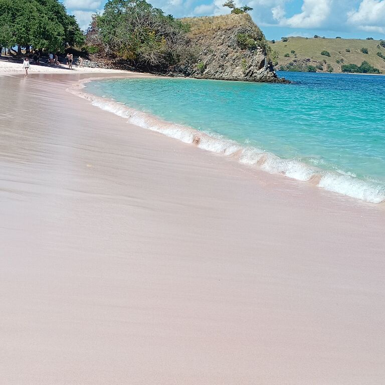 Komodo Travel