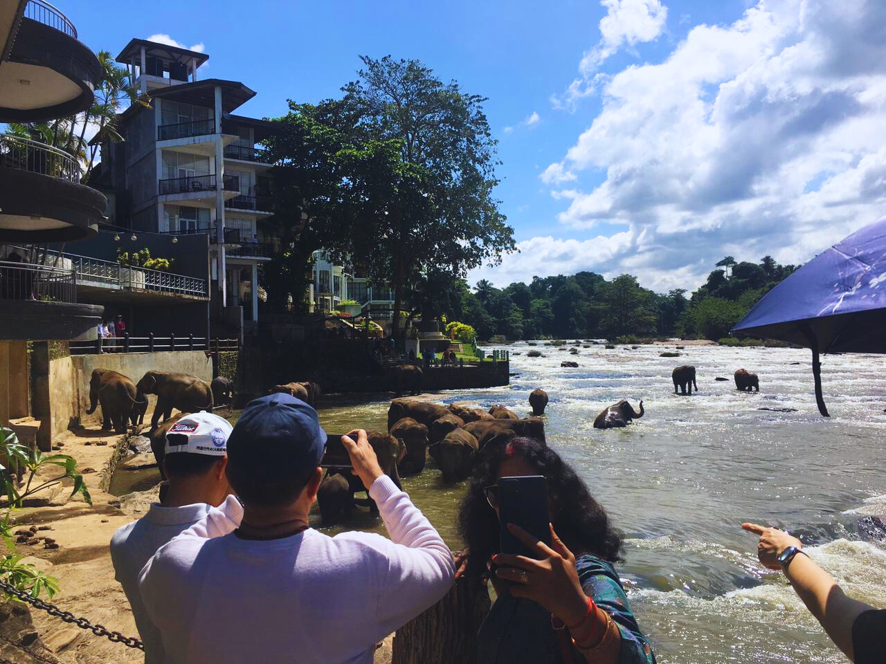 Sri Lanka e-Travels and Tours