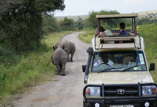 Tembea Discoveries Tours