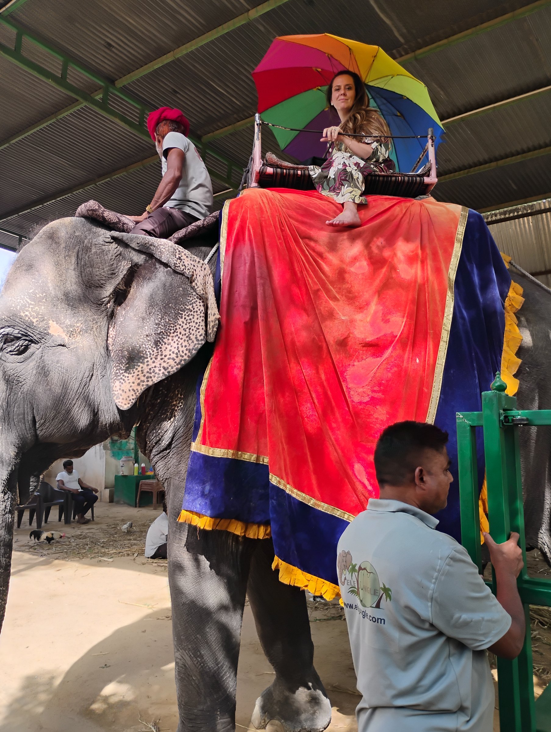 RAJ INDIA TOURS