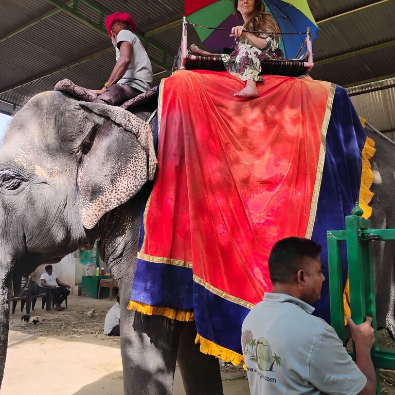 RAJ INDIA TOURS