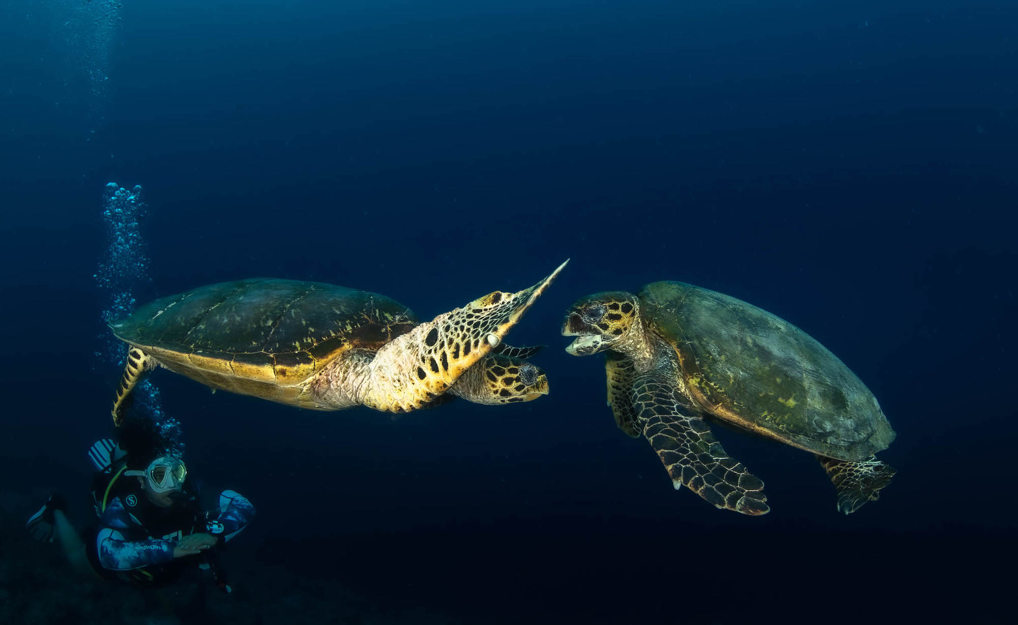 LAK SCUBA