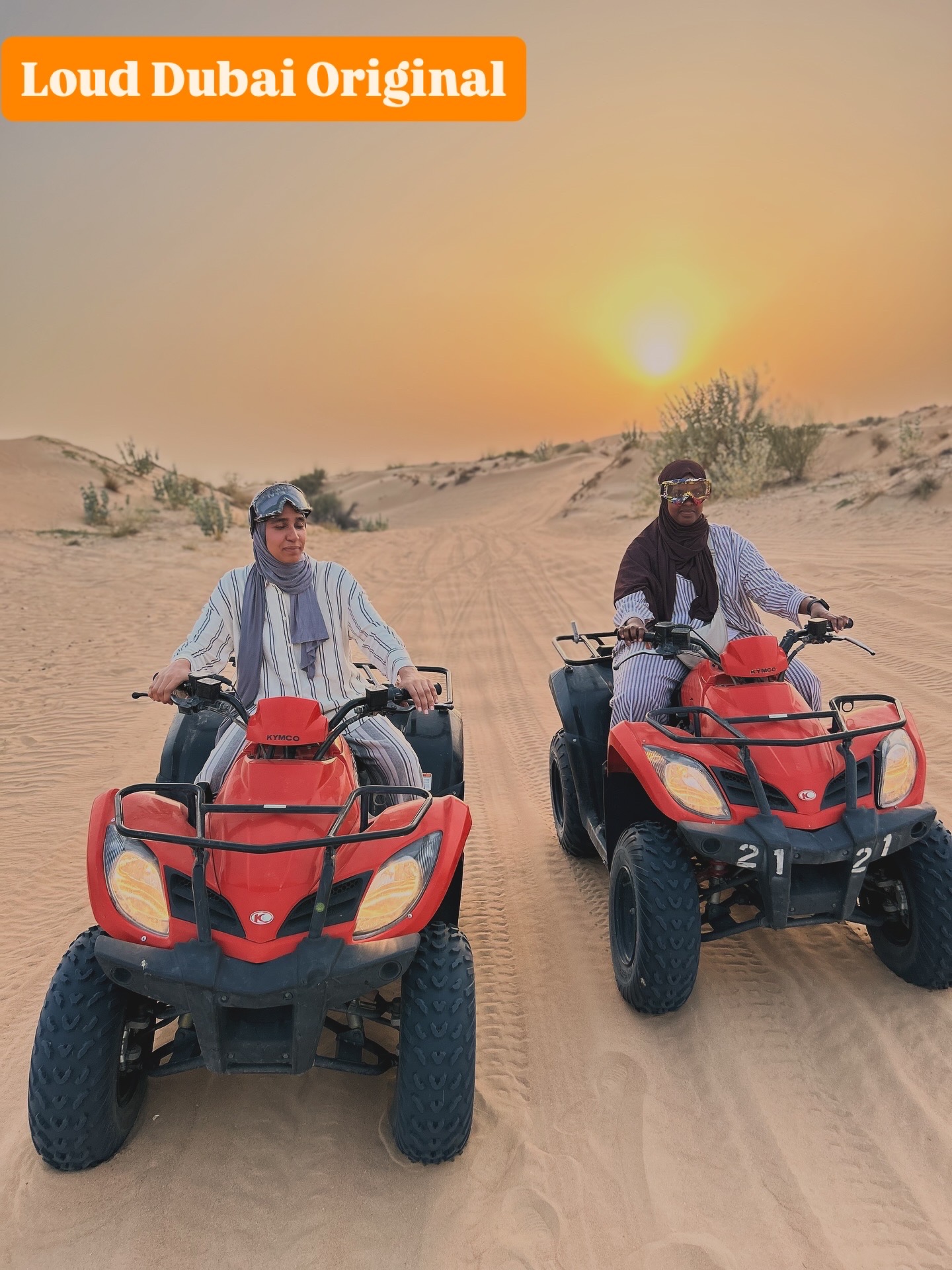 Desert Vibes LLC