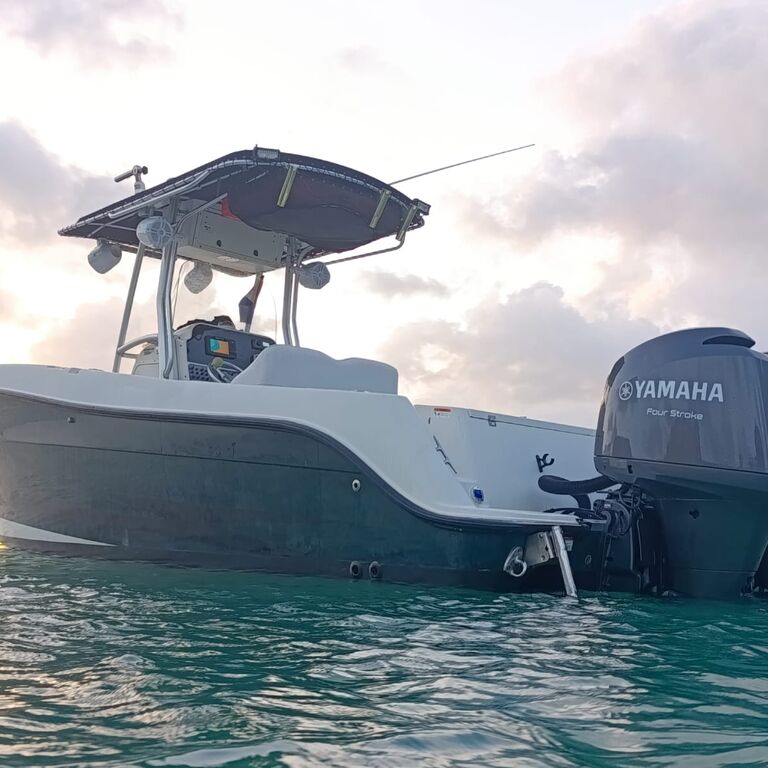 Seas the Day Bookings
