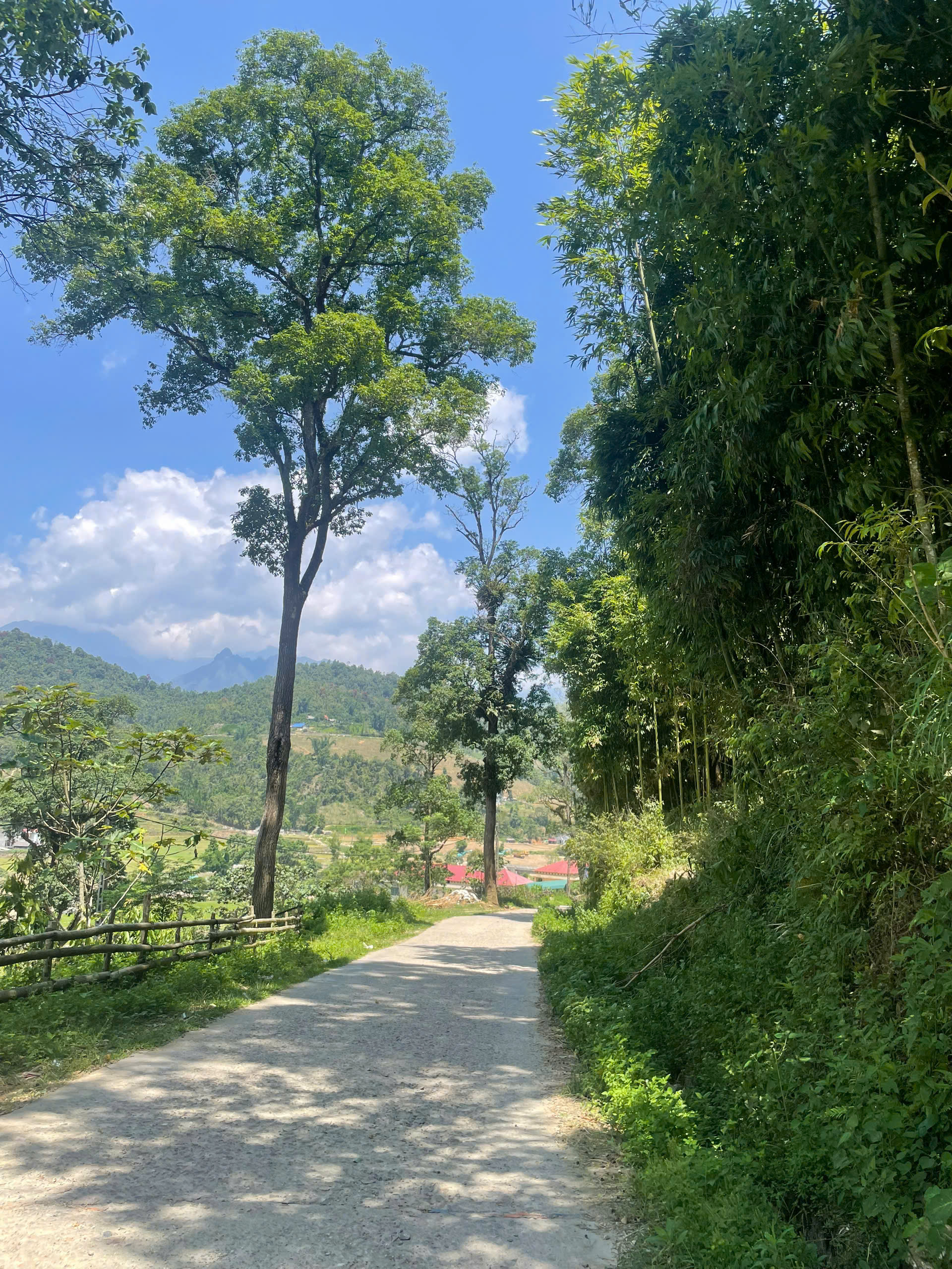 Authentic Sapa Treks
