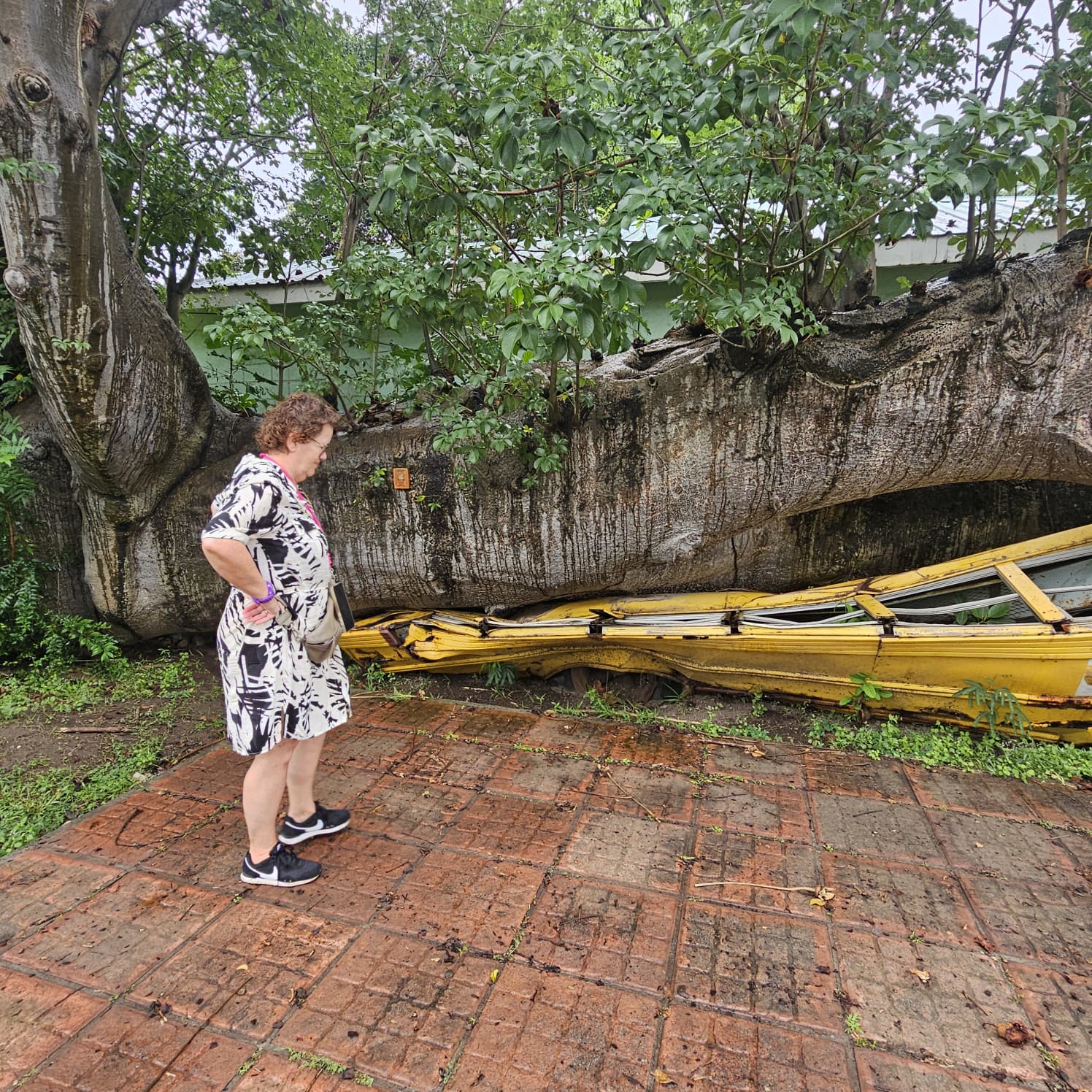 Kool Dominica Tours