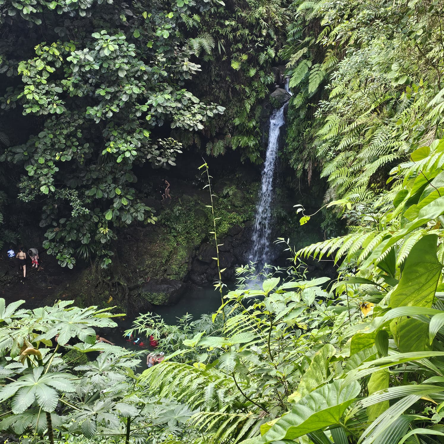 Kool Dominica Tours