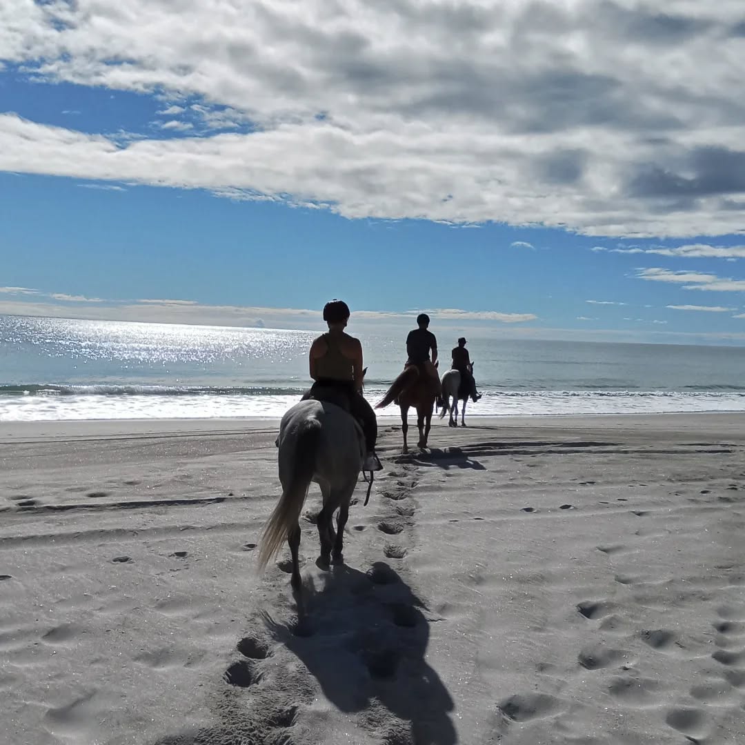 Bay Of Plenty Horse Adventures