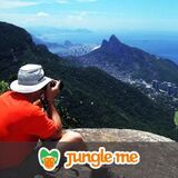 Jungle Me - Rio de Janeiro