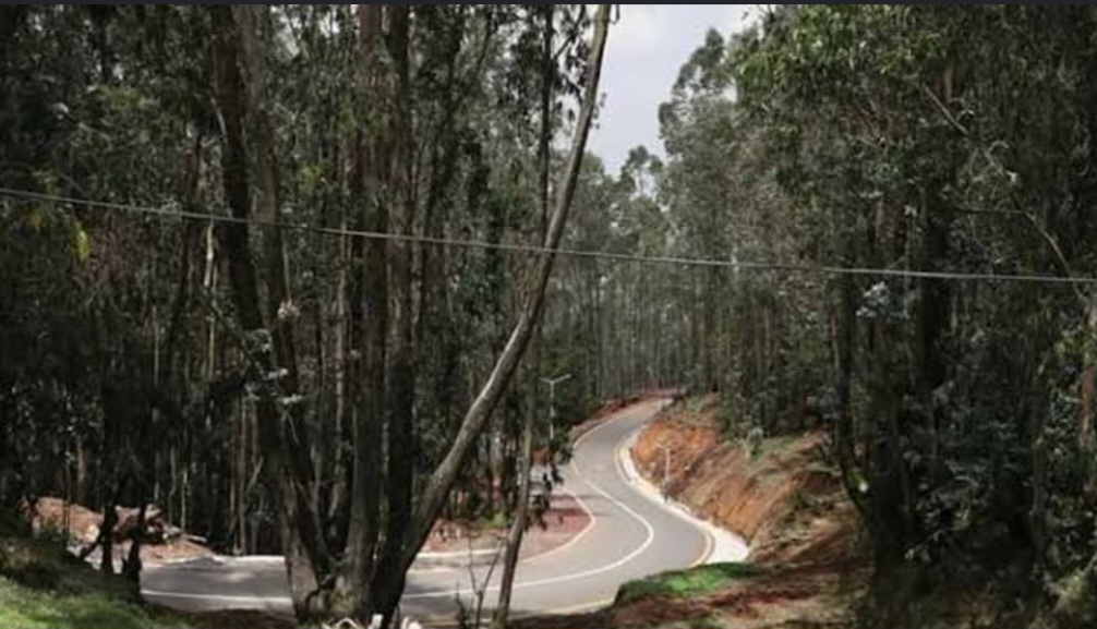 The Essential AddisAbeba tours