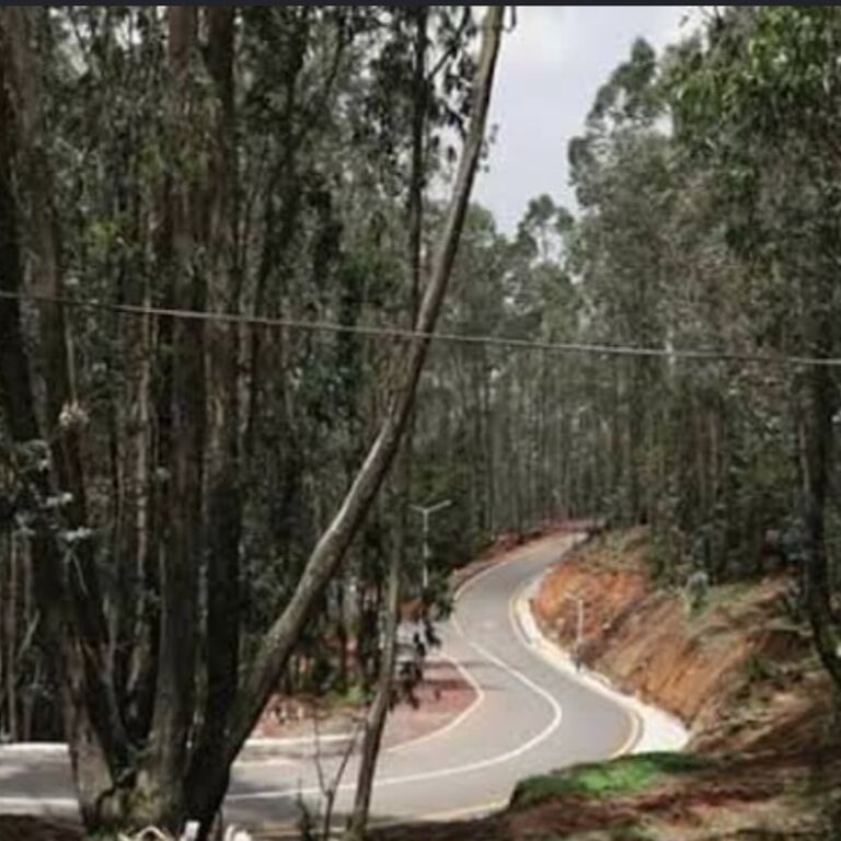 The Essential AddisAbeba tours