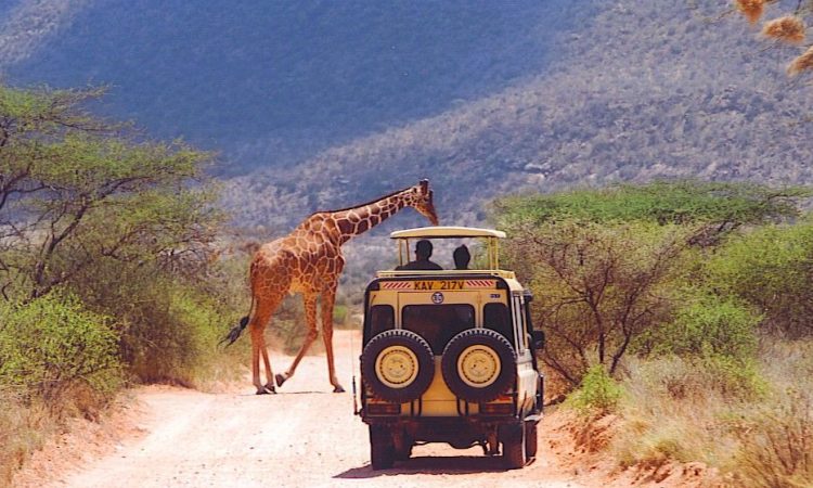 Giorgi Safaris