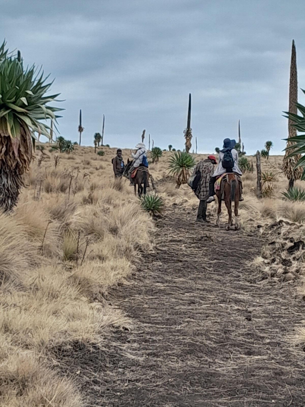 Hike in Ethiopia Tours