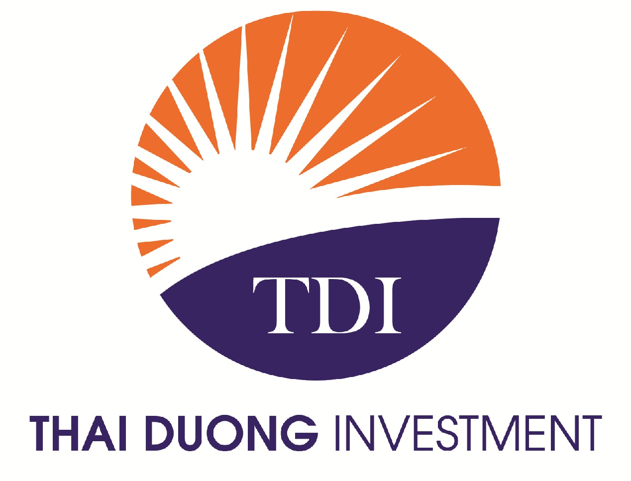 Thai Duong Investment and International Services Company Limited