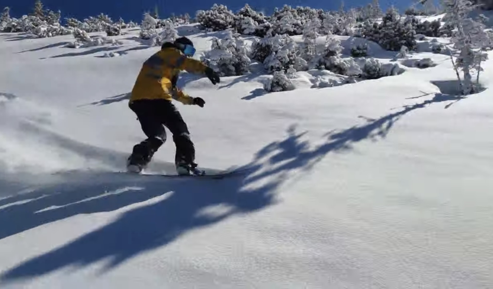 Zako Ski