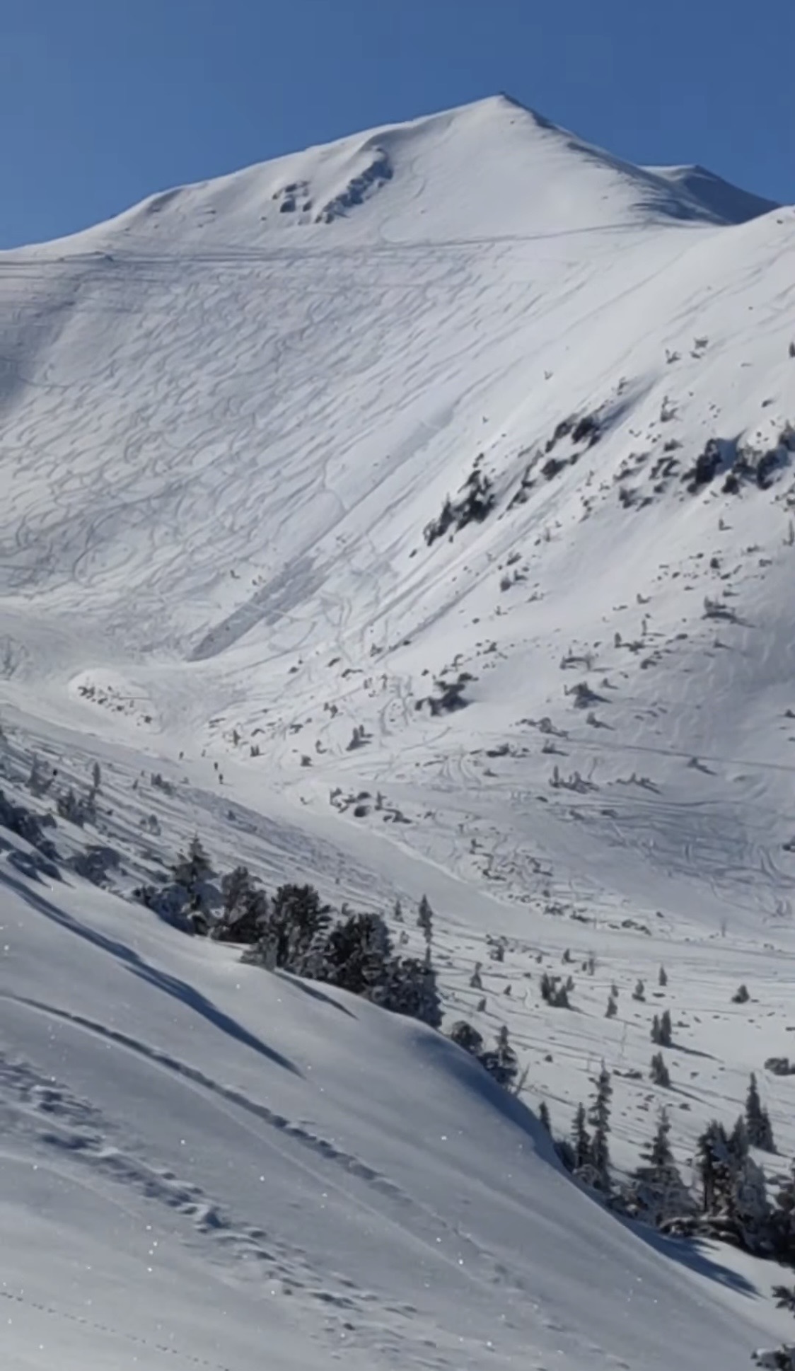 Zako Ski