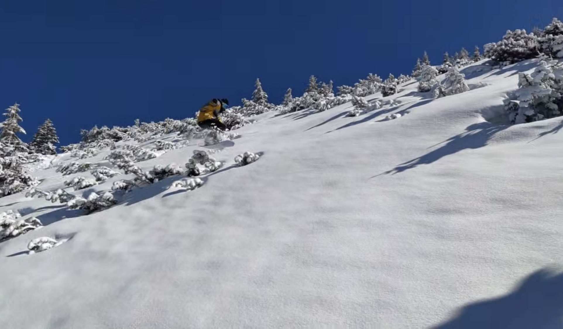 Zako Ski