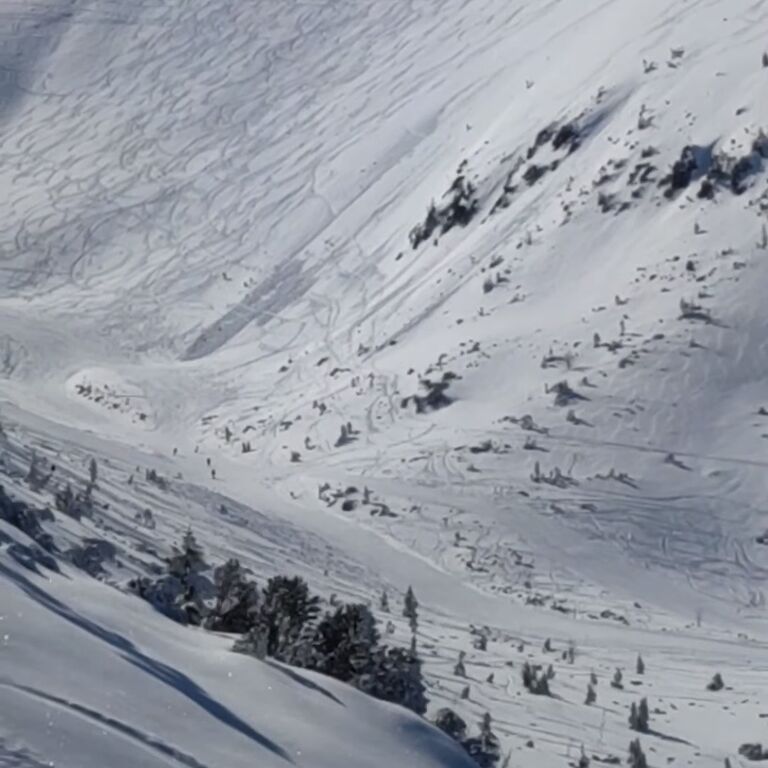 Zako Ski