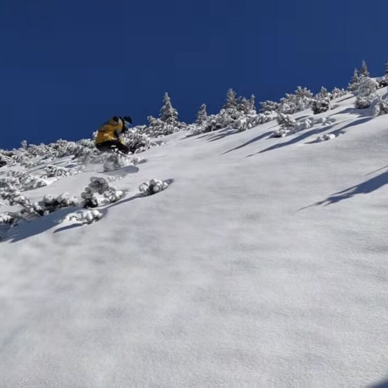Zako Ski