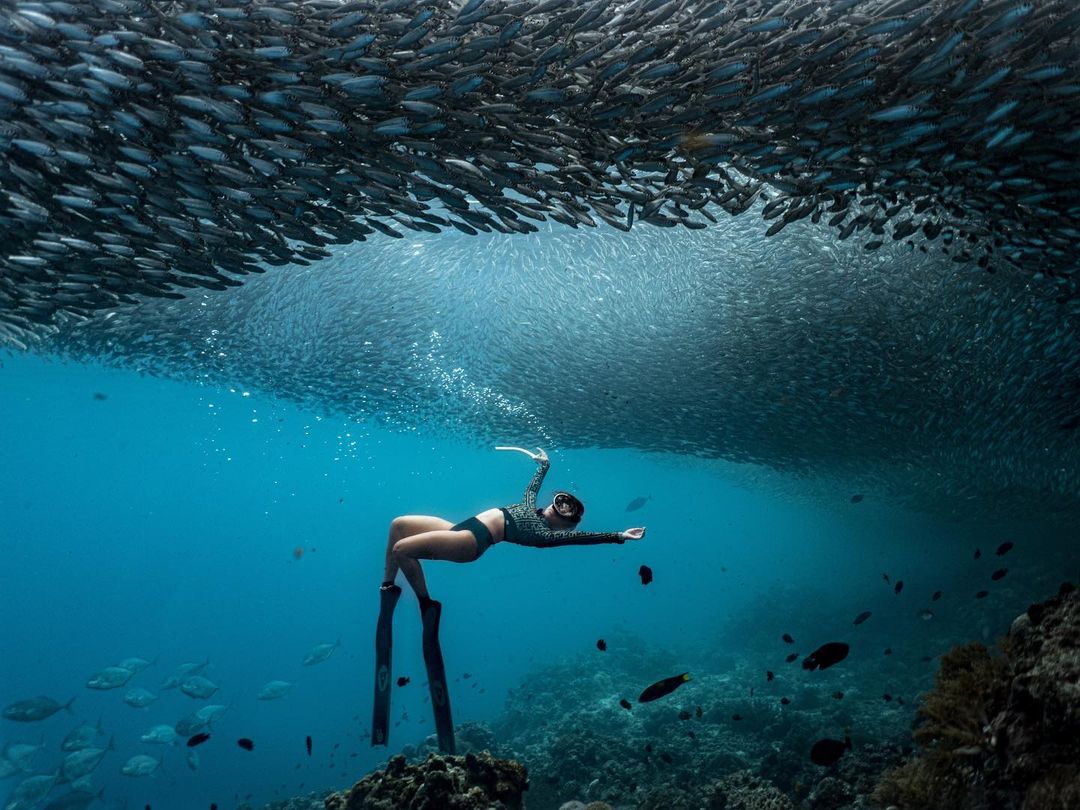 Panglao Watersports & Tours