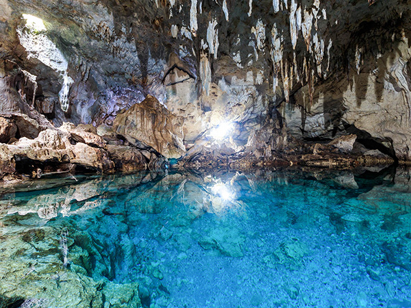 Panglao Watersports & Tours