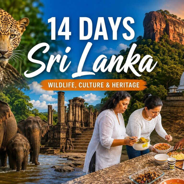 Royal Kandy Tours