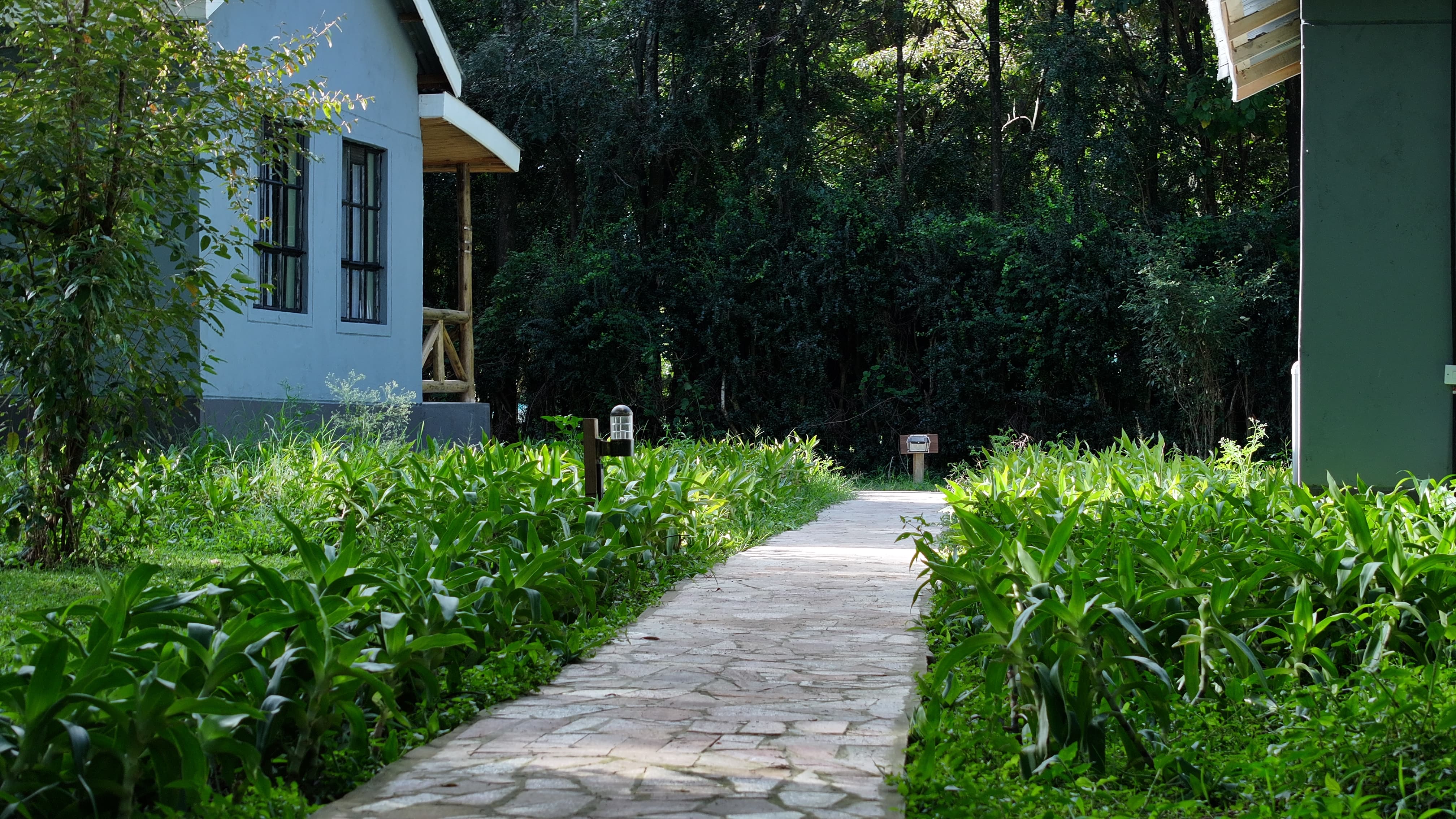 Aruba Mara Camp