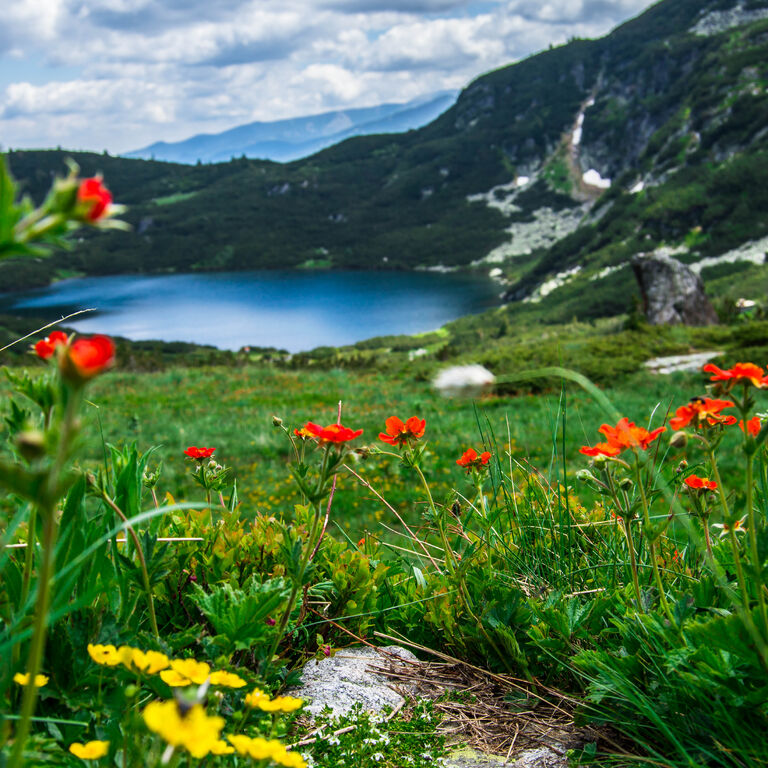 Green Valleys Tours