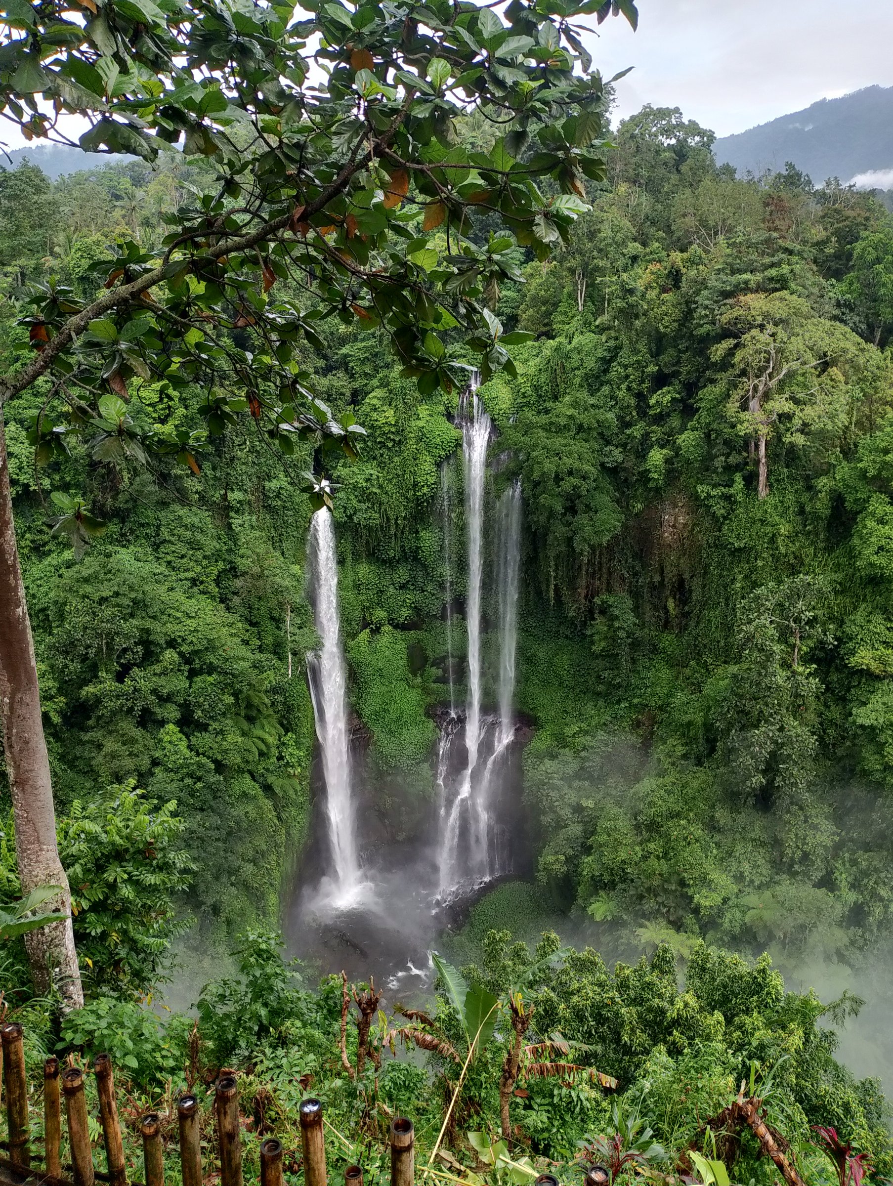 Nengah Suartikantara
