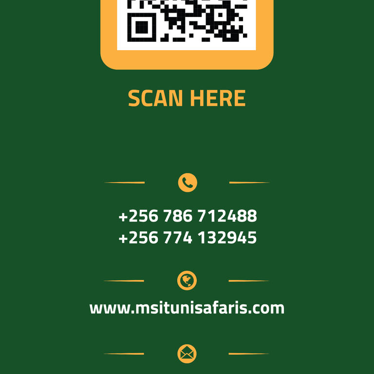 Msituni Safaris
