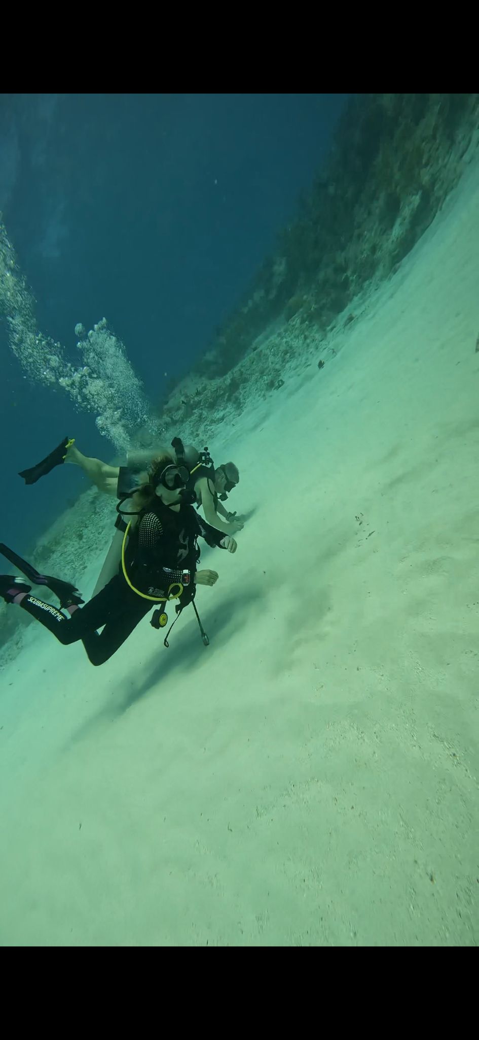 Divelantis diving& snorkeling