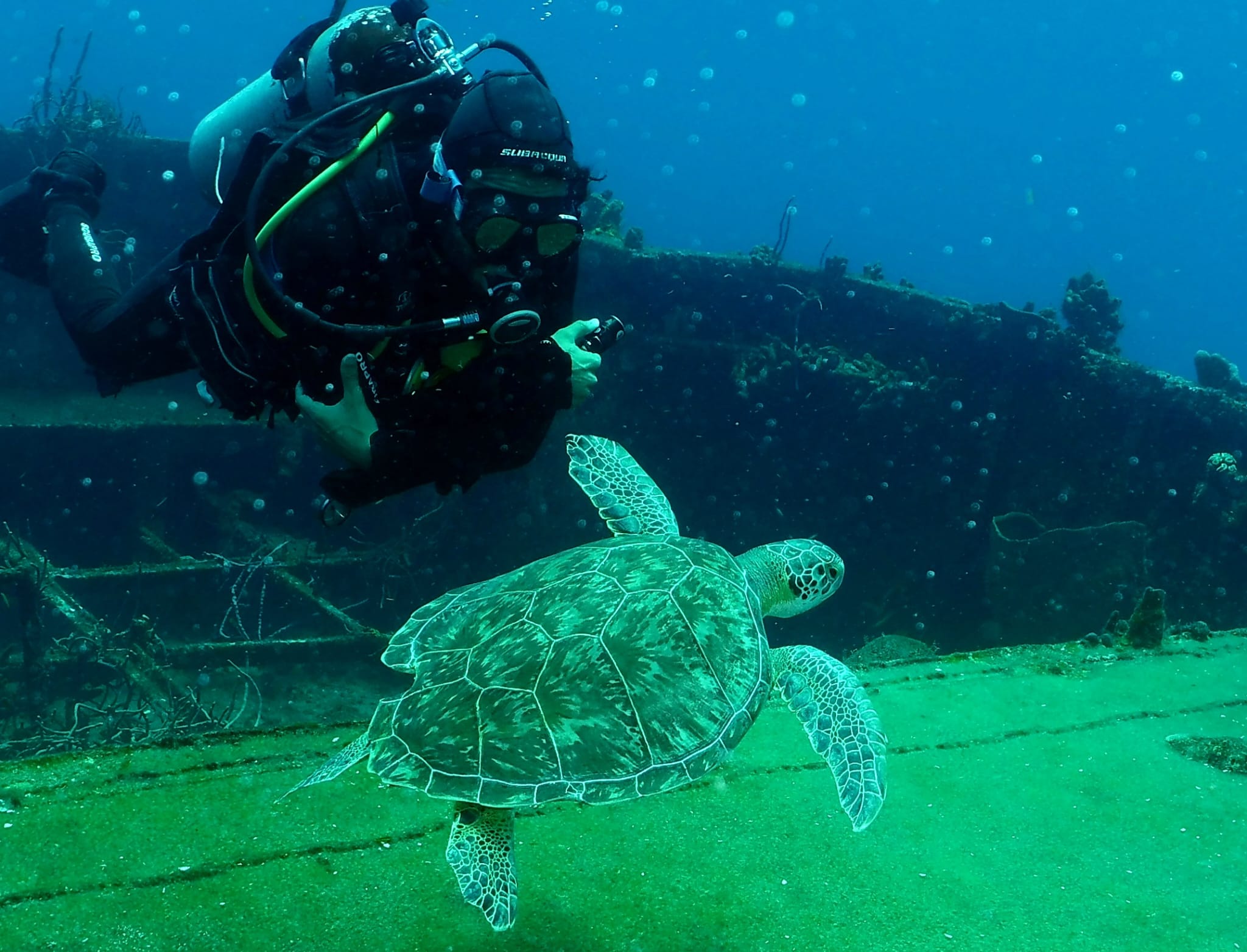 Divelantis diving& snorkeling