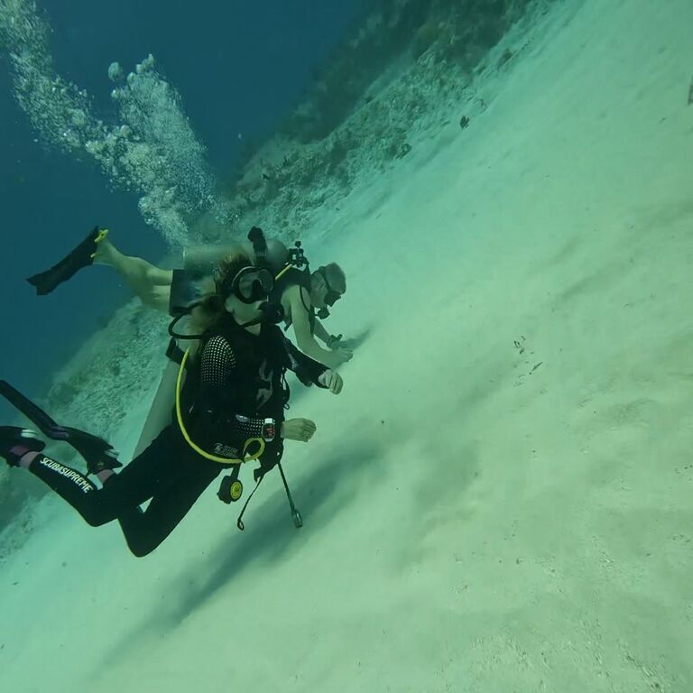 Divelantis diving& snorkeling