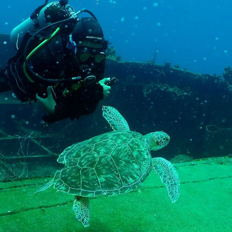 Divelantis diving& snorkeling