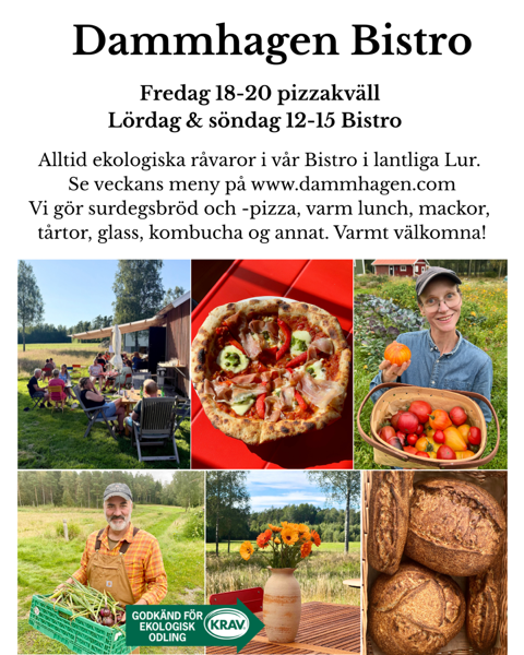 Dammhagen Organic Bistro