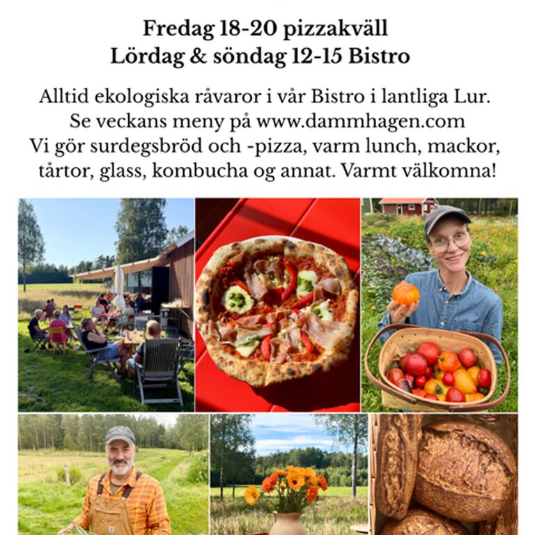 Dammhagen Organic Bistro