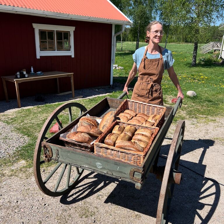 Dammhagen Organic Bistro