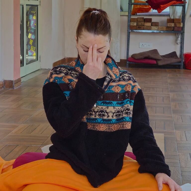 Rishikul Yogshala Rishikesh