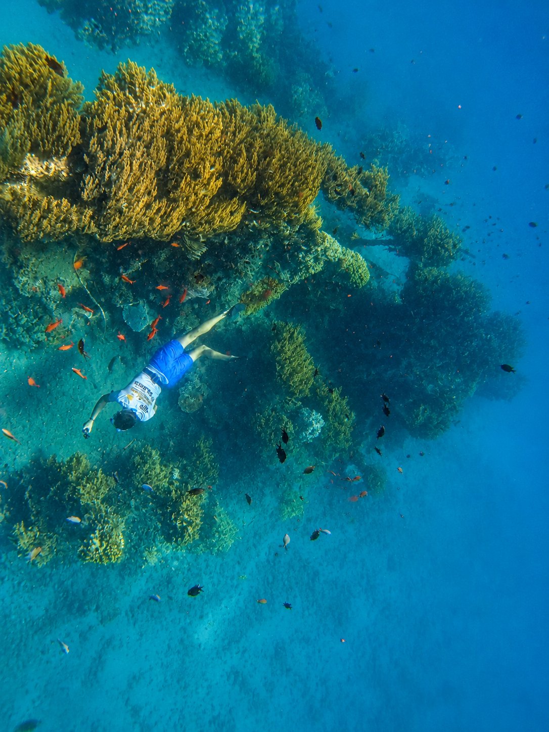 AMED SAILING TOUR AND TIRP