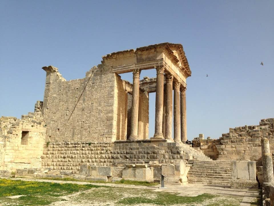 Tunisian discoveries